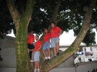 /album/cl%c3%a3%20pioneiro/nemu10-jpg/